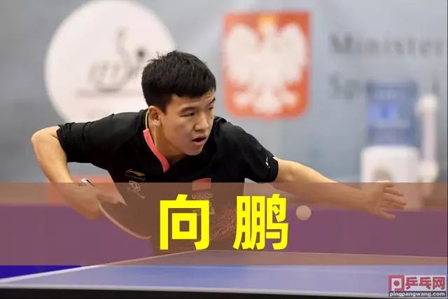 卡佩拉的体 卡佩拉的体