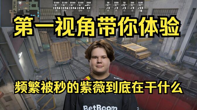 薪资结构
